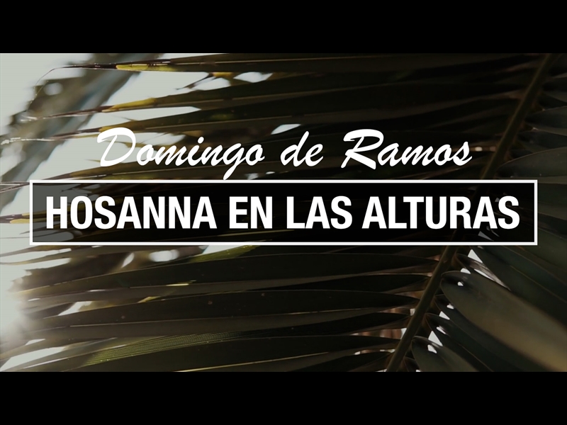 DOMINGO DE RAMOS - HOSANNA EN LAS ALTURAS
