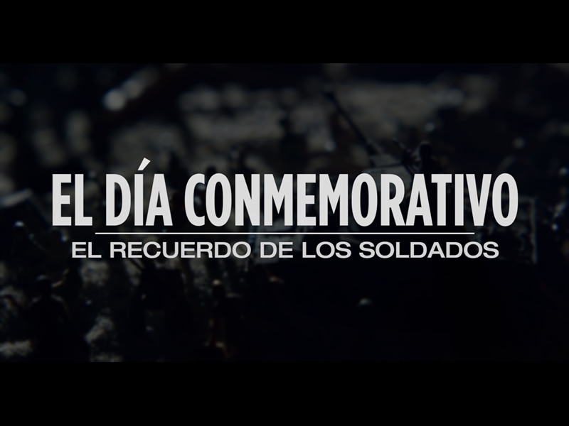 EL DÍA CONMEMORATIVO - EL RECUERDO DE LOS SOLDADOS