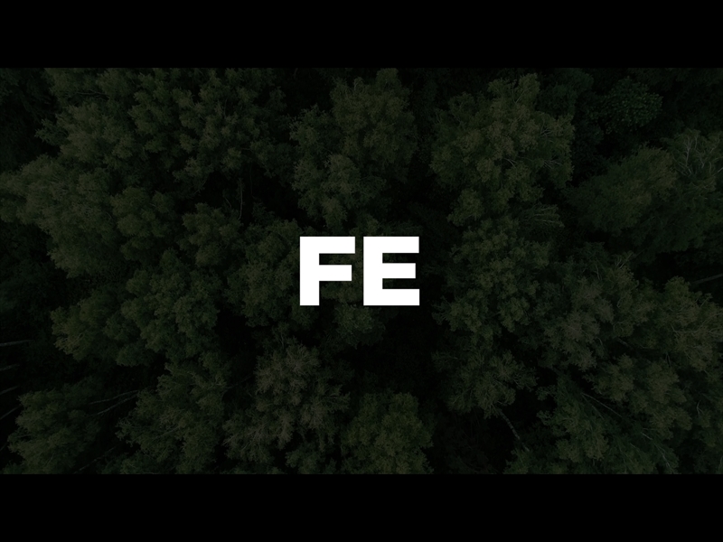 FE