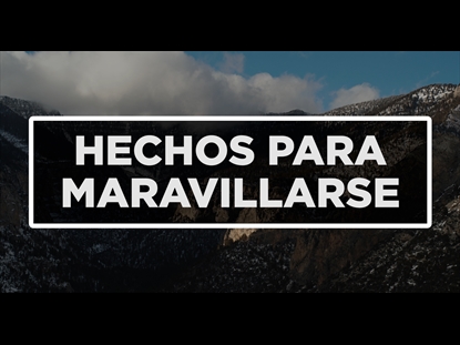 HECHOS PARA MARAVILLARSE