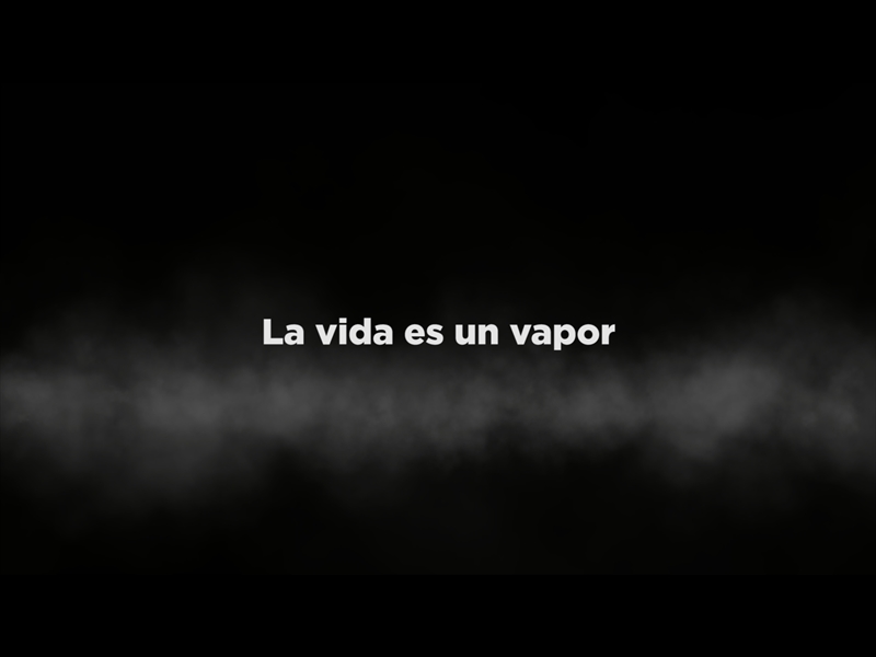 LA VIDA ES UN VAPOR