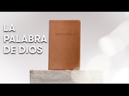 LA PALABRA DE DIOS