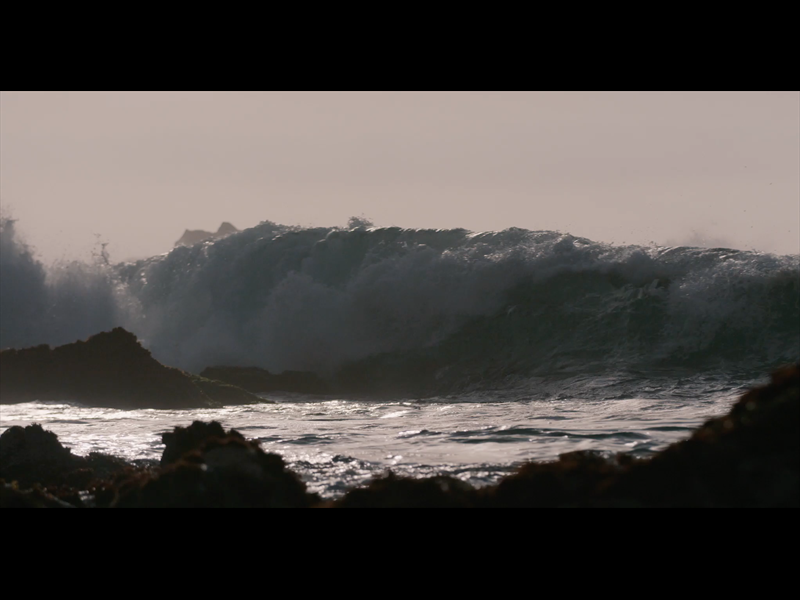 LOS VIENTOS Y LAS OLAS