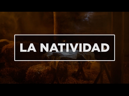 NAVIDAD - LA NATIVIDAD