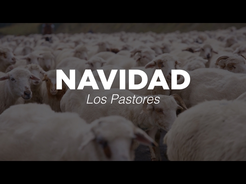 NAVIDAD - LOS PASTORES