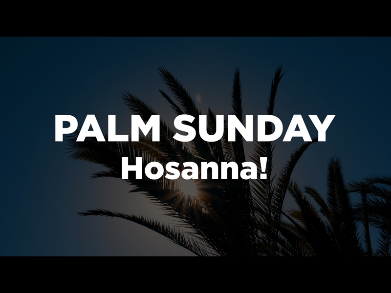 PALM SUNDAY - HOSANNA!