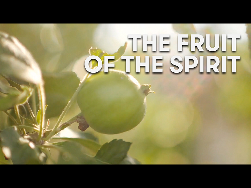 THE FRUIT OF THE SPIRIT