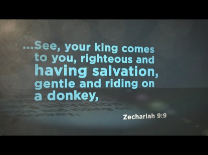 THE STORY OF PALM SUNDAY