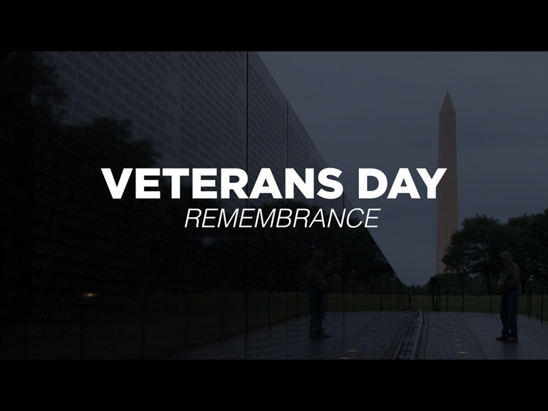 VETERANS DAY REMEMBRANCE