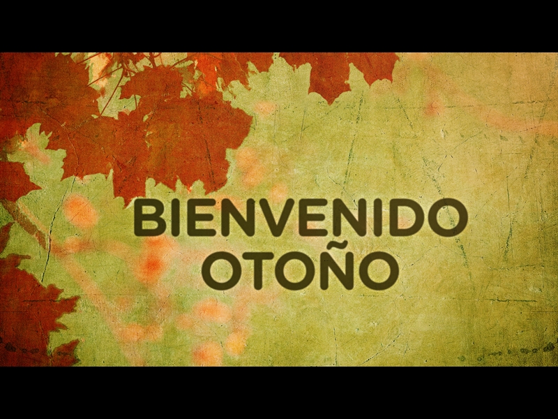 BIENVENIDO OTOÑO