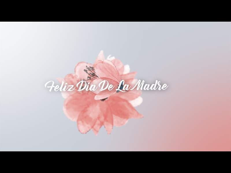 FELIZ DIA DE LA MADRE TE DAMOS GRACIAS