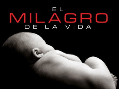 EL MILAGRO DE LA VIDA