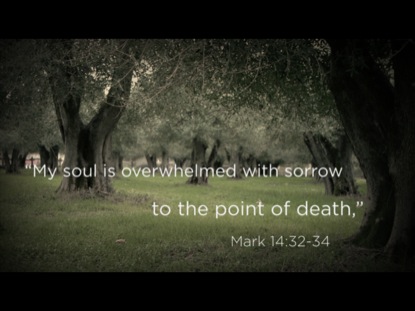 GETHSEMANE: STATIONS OF THE CROSS