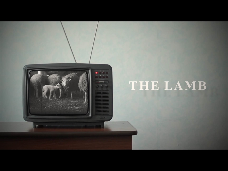 THE LAMB