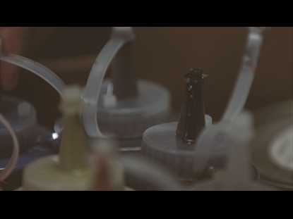 THE LIFE OF JOSEPH - GUILT