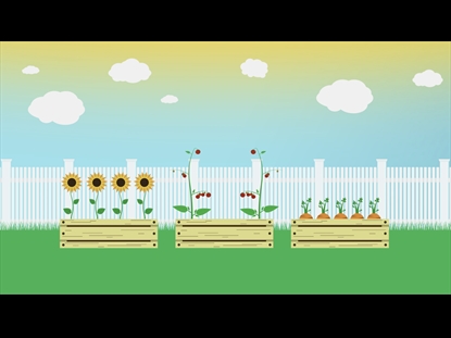 WHEN CHRISTIANITY LOOKS LIKE RULES