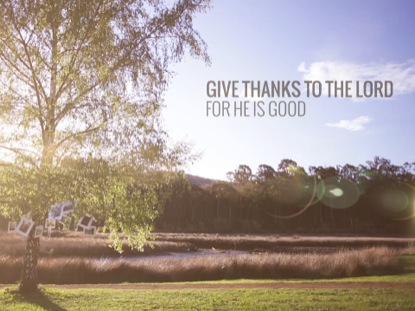 THANKSGIVING TREE WORSHIP INTRO