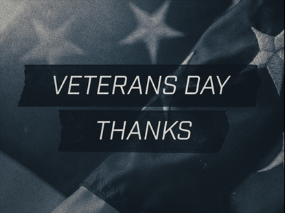VETERANS DAY THANKS