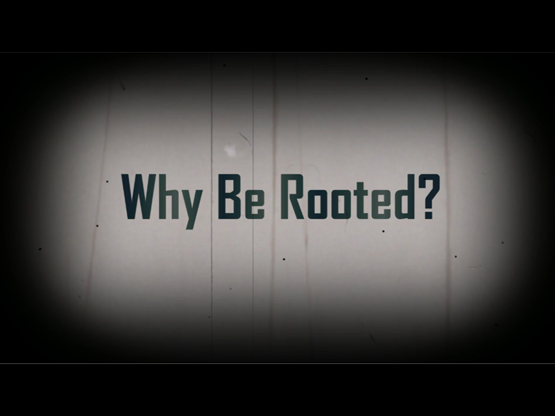 WHY BE ROOTED?