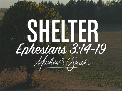 SHELTER