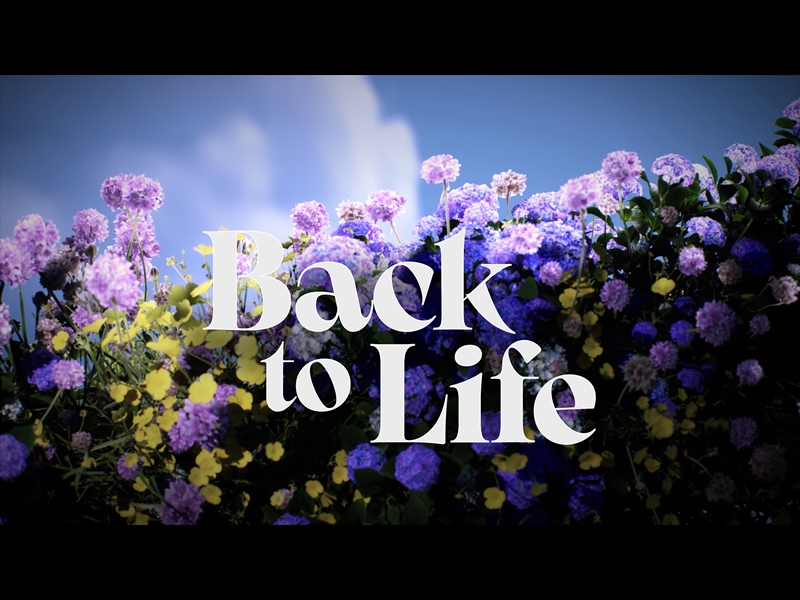 BACK TO LIFE - EASTER