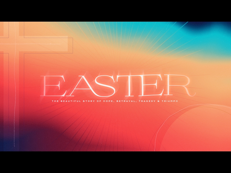 EASTER GRADIENT BUMPER