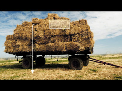 THE LAW OF THE HARVEST