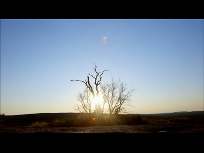 ADAM & EVE: CAIN & ABEL