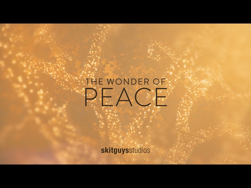 THE WONDER OF PEACE