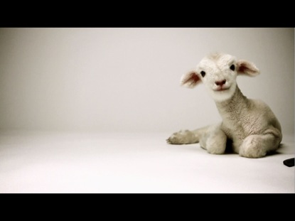 CORDERO DEL VIERNES SANTO