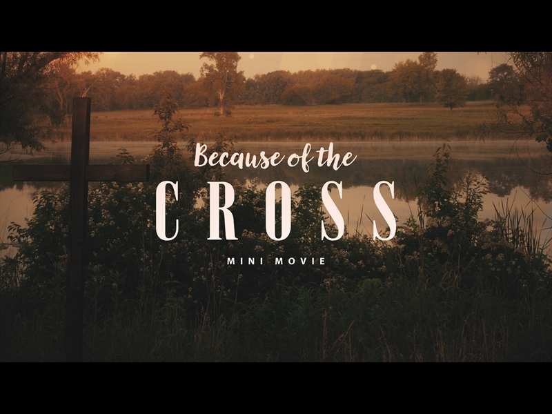 NATURE CROSS - BECAUSE OF THE CROSS