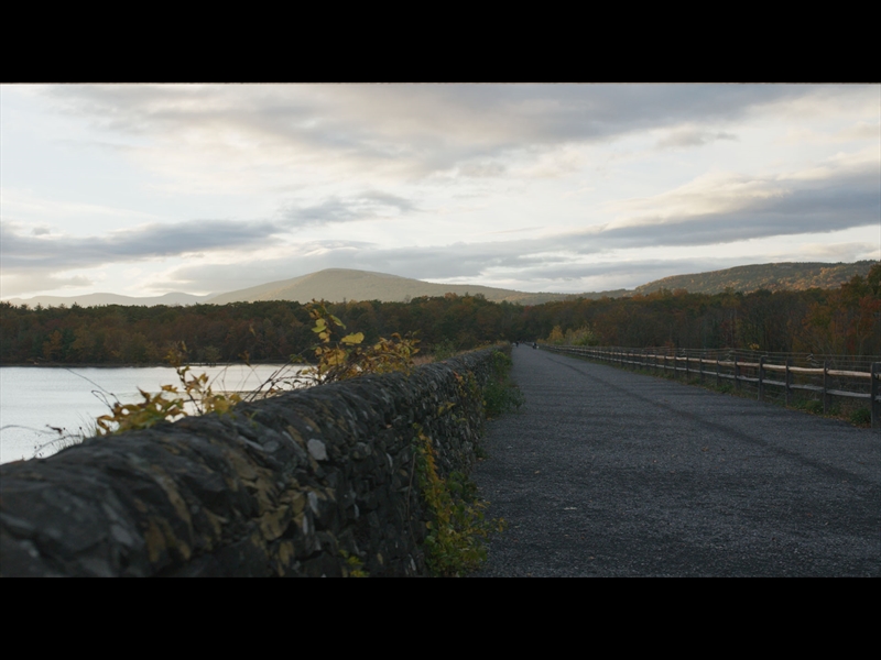 CATSKILLS NATURE CLIPS