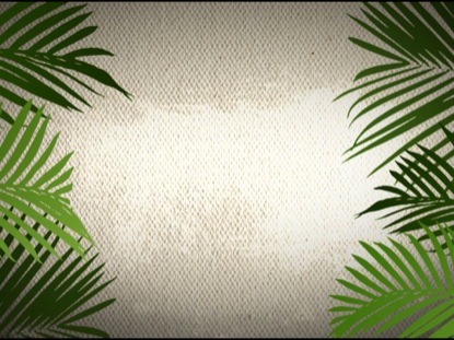 Palm Sunday Background Loop 1 | 4ThoughtMedia | WorshipHouse Media