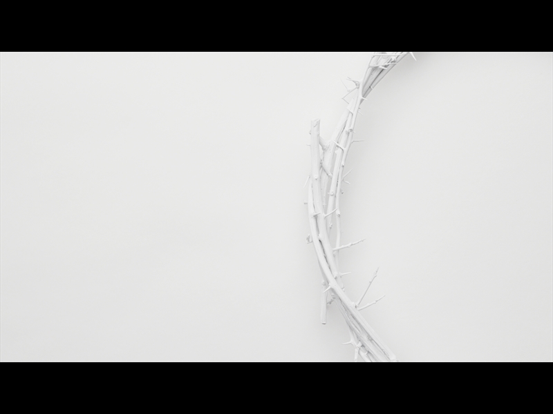 CROWN OF THORNS WHITE 10