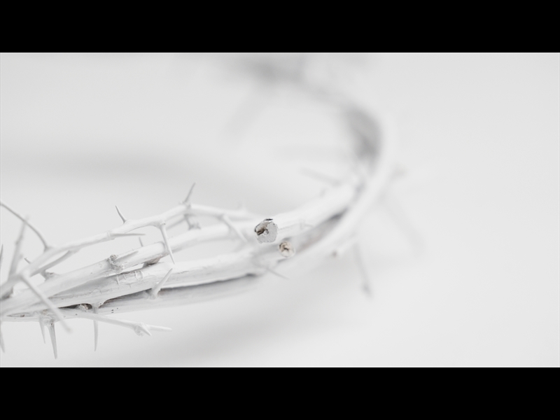 CROWN OF THORNS WHITE 14