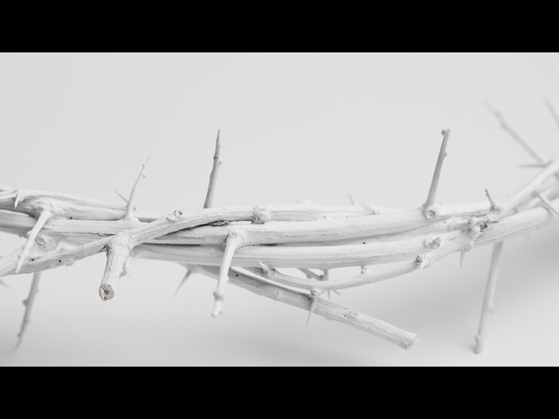 CROWN OF THORNS WHITE 3