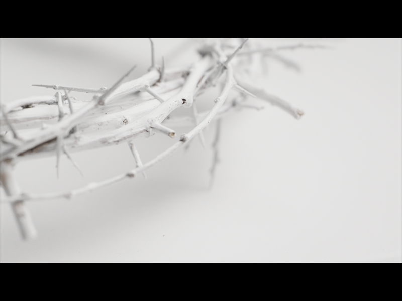 CROWN OF THORNS WHITE 5