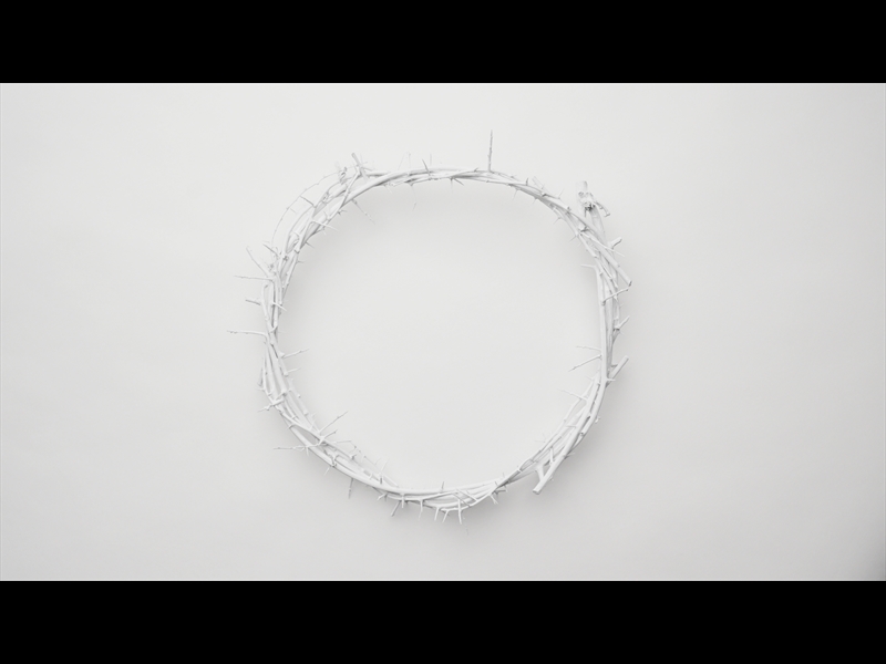 CROWN OF THORNS WHITE 6