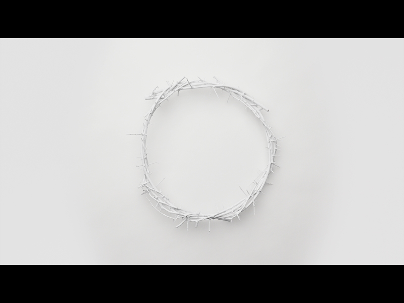 CROWN OF THORNS WHITE 7