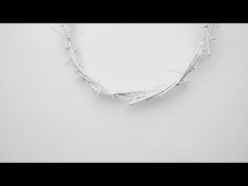 CROWN OF THORNS WHITE 8