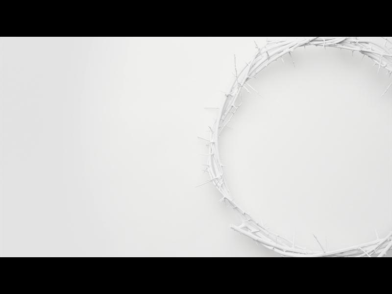 CROWN OF THORNS WHITE 9