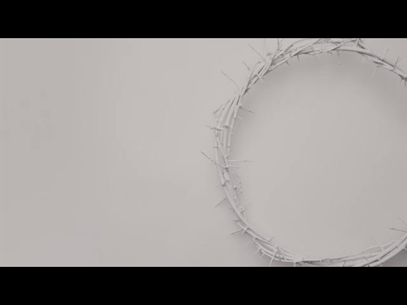 CROWN OF THORNS WHITE 1