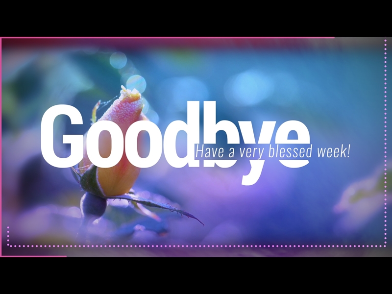 CONSIDER THE FLOWERS GOODBYE