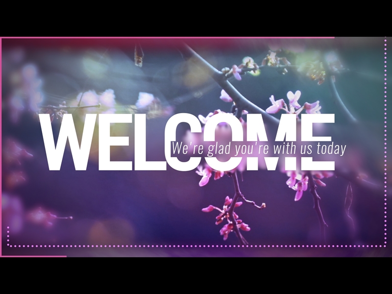 CONSIDER THE FLOWERS WELCOME