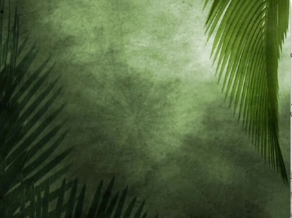 Palm Sunday Loop 04 | Beamer Films | WorshipHouse Media