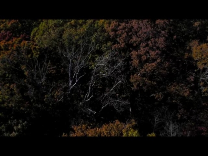 AUTUMN LEAVES LONG PLAY