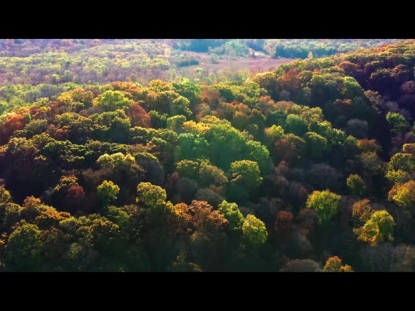 AUTUMN LEAVES OVER HILLS
