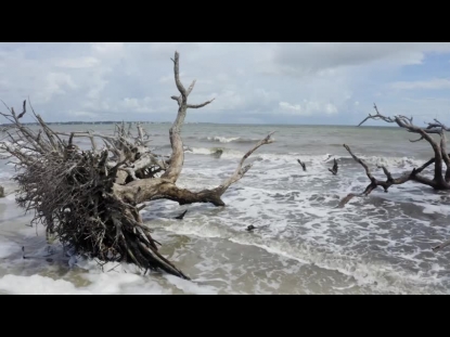 DRIFTWOOD BEACH 2