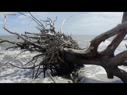 DRIFTWOOD BEACH CLOSE