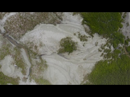 GEORGIA MARSH LOOKING DOWN